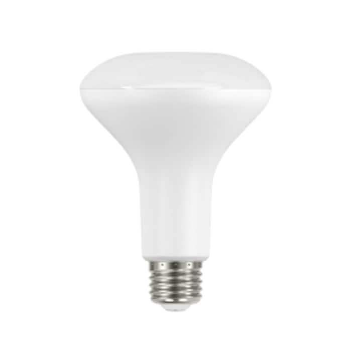 Light hotsell bulb suppliers